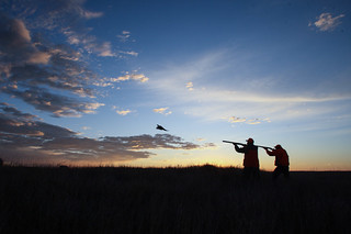 South Dakota Luxury Pheasant Hunt - Gettysburg 74