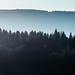 Le massif du Jura, mon escalier • <a style="font-size:0.8em;" href="http://www.flickr.com/photos/53131727@N04/31580626293/" target="_blank">View on Flickr</a>