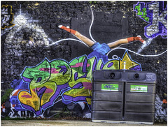 Dumpster diving, Graffiti at La Rouchelle, artist unknown (Luc V. de Zeeuw) Tags: france wall painting graffiti luc larochelle dumpsterdiving poitoucharentes dezeeuw lucvdezeeuw lucdezeeuw