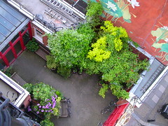 LBC courtyard from above