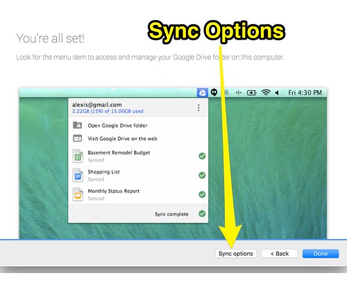 Step 4 - Click Sync Options by Wesley Fryer, on Flickr