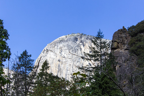 Yosemite • <a style="font-size:0.8em;" href="http://www.flickr.com/photos/66187673@N07/21701443089/" target="_blank">View on Flickr</a>