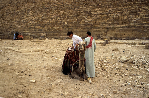 Ägypten 1999 (618) Kairo: Chephren-Pyramide, Gizeh • <a style="font-size:0.8em;" href="http://www.flickr.com/photos/69570948@N04/31356816143/" target="_blank">Auf Flickr ansehen</a>