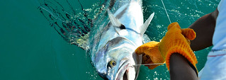 Costa Rica Sport Fishing Resort 25