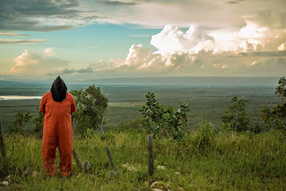 Guantánamo Detainee Overlooking the Bay