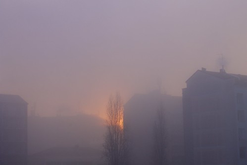 Fog - Milan • <a style="font-size:0.8em;" href="http://www.flickr.com/photos/104879414@N07/31583297901/" target="_blank">View on Flickr</a>