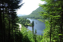 DSC01594.JPG