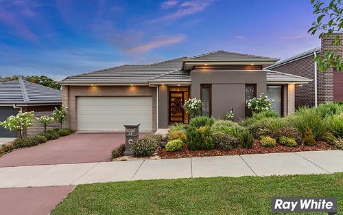 34 Critchley St, Casey ACT 2913