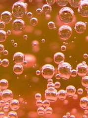 Rose champagne - infinite bubbles