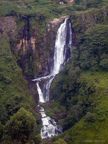 176844741_5f0e2b9765.jpg