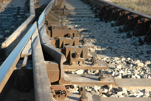 train tracks (by bookgrl)