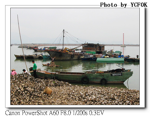 蛇口 漁港 - 077
