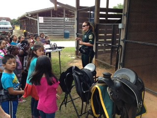 2015 - 1st Grade March 31, 2015 Clarcona Horsemen's Park with Orange County Sheriff's Mounted Unit