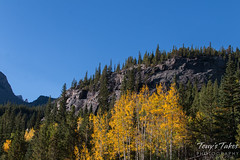 September 20, 2015 - Fall Foliage in Rocky Mountain National Park. (Tony's Takes)