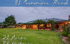 81 Cummins Road, Lake Albert NSW