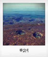 #DailyPolaroid of 5-5-15 #219 • <a style="font-size:0.8em;" href="http://www.flickr.com/photos/47939785@N05/22618674807/" target="_blank">View on Flickr</a>