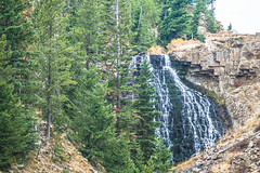 Rustic Falls; Yellowstone NP