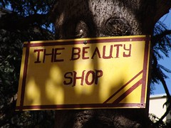 The beauty shop
