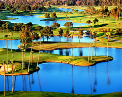 Curvy Ponds and Palms