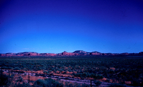 Image7
