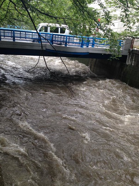 目黒川の水位が急上昇、氾濫注意-ゲリラ豪...