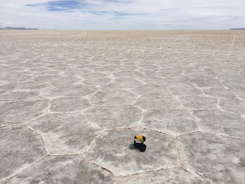 Le désert de sel, qu'on appelle aussi salar, est un ancien lac d'eau, qui s'est asséché il y a plus de 10.000 ans