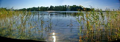 IMGP2701 Stitch • <a style="font-size:0.8em;" href="http://www.flickr.com/photos/62692398@N08/20593442486/" target="_blank">View on Flickr</a>