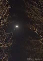 December 7, 2015 - A crescent moon and Venus in the early morning. (David Canfield)