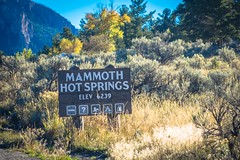 Welcome to Mammoth Hot Springs!