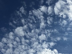 Anglų lietuvių žodynas. Žodis cirrocumulus cloud reiškia cirrocumulus debesis lietuviškai.