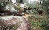 680 Brokenback Trail, Cedar Creek NSW