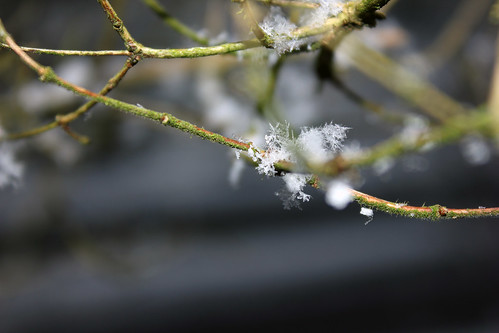 Im Winterwald mit Schnee 2015 • <a style="font-size:0.8em;" href="http://www.flickr.com/photos/69570948@N04/23608973565/" target="_blank">Auf Flickr ansehen</a>