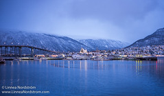 Winter Light in the Tromsø Harbour