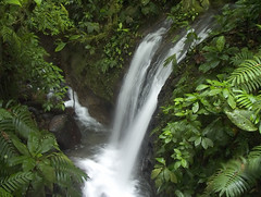 Costa Rica -Rainforest © Andre Nantel