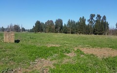 Lot 3 Icely Road, Canowindra NSW