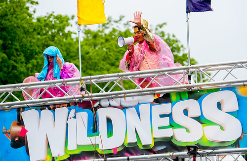 Wildness festival