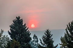 Sunrise in Elkford, obscured by forest fire smoke.
