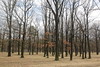 Wanderung Treptower Park - Alt-Köpenick • <a style="font-size:0.8em;" href="http://www.flickr.com/photos/25397586@N00/33265573751/" target="_blank">View on Flickr</a>
