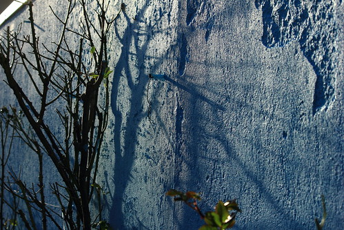 Blaue Mauer • <a style="font-size:0.8em;" href="http://www.flickr.com/photos/69570948@N04/22889618964/" target="_blank">Auf Flickr ansehen</a>