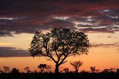 South Africa sunrise © David Garry / Dreamstime