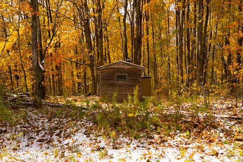 Snow Covered Wood Cabin in Golden Fall Foliage • <a style="font-size:0.8em;" href="http://www.flickr.com/photos/65051383@N05/21671089883/" target="_blank">View on Flickr</a>