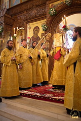 10. Glorification of the Synaxis of the Holy Fathers Who Shone in the Holy Mountains at Donets. July 12, 2008 / Прославление Святогорских подвижников. 12 июля 2008 г