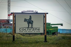 Welcome to Cochrane!