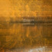 Sur les pas de Courbet, une envie de peindre avec la lumière • <a style="font-size:0.8em;" href="http://www.flickr.com/photos/53131727@N04/21906218273/" target="_blank">View on Flickr</a>