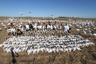 Kansas Pheasant Hunt 48