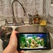 Faucet Fishtank • <a style="font-size:0.8em;" href="http://www.flickr.com/photos/135691070@N03/20858875988/" target="_blank">View on Flickr</a>