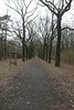 Wanderung Treptower Park - Alt-Köpenick • <a style="font-size:0.8em;" href="http://www.flickr.com/photos/25397586@N00/33393351875/" target="_blank">View on Flickr</a>