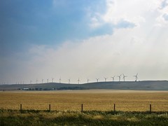 The Pincher Creek Wind Farm.