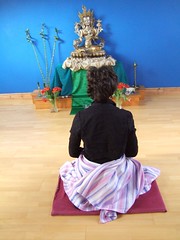 Meditation at Taraloka