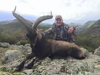 Spain Ibex Hunt & Driven Partridge Hunts 64